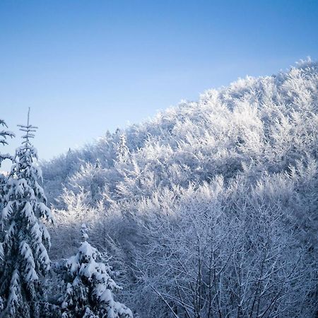 Poniwiec Mala Czantoria Ustroń Esterno foto