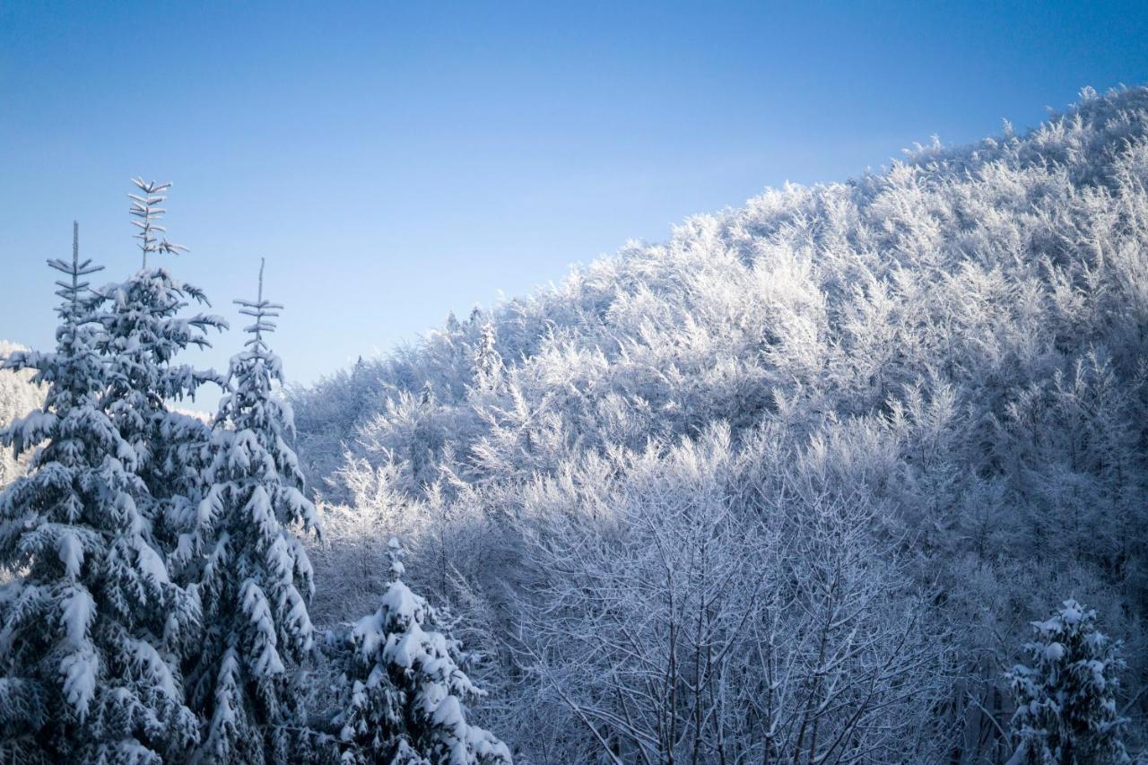 Poniwiec Mala Czantoria Ustroń Esterno foto